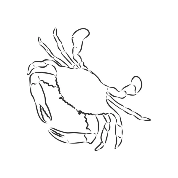 Havsblå Randig Illustration Med Krabba — Stock vektor