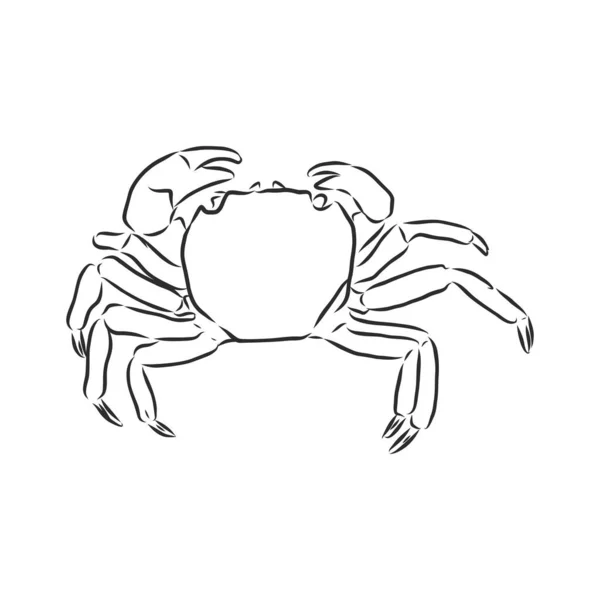 Havsblå Randig Illustration Med Krabba — Stock vektor