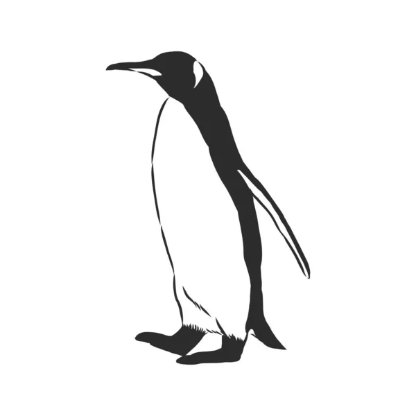 Pingüinos Dibujando Mano Ilustración Vectorial — Vector de stock