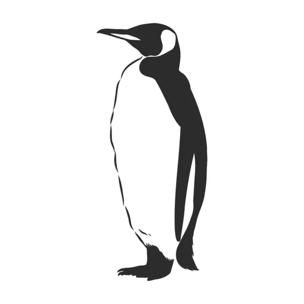 Pingüinos Dibujando Mano Ilustración Vectorial — Vector de stock