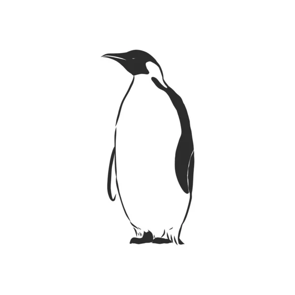 Pinguins Desenho Mão Ilustração Vetorial — Vetor de Stock