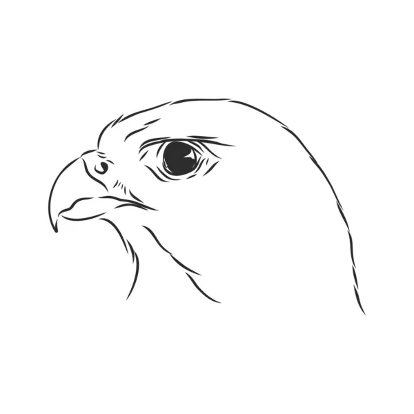Ilustración Blanco Negro Boceto Pájaro Para Arte Del Tatuaje Águila — Vector de stock