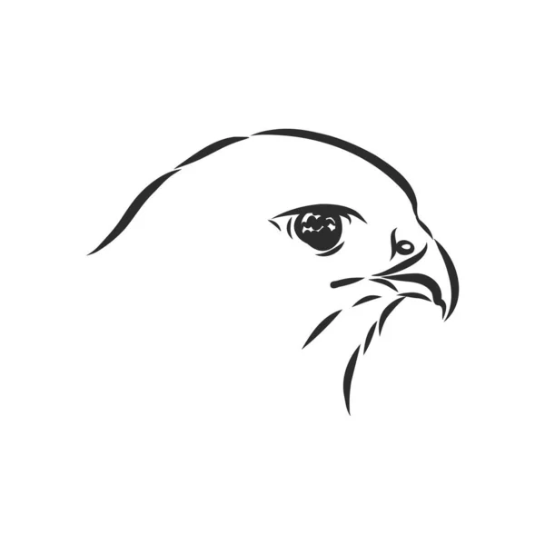 Чорно Біла Ілюстрація Ескіз Птаха Татуювання Детальний Намальований Рукою Орел — стоковий вектор