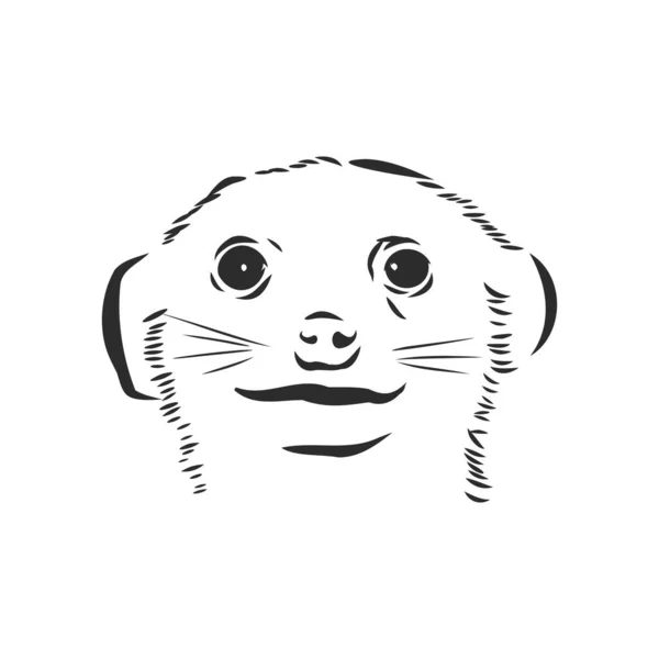 Ícone Meerkat Sinal Animal Meerkat Animal Desenho Vetorial Ilustração —  Vetores de Stock