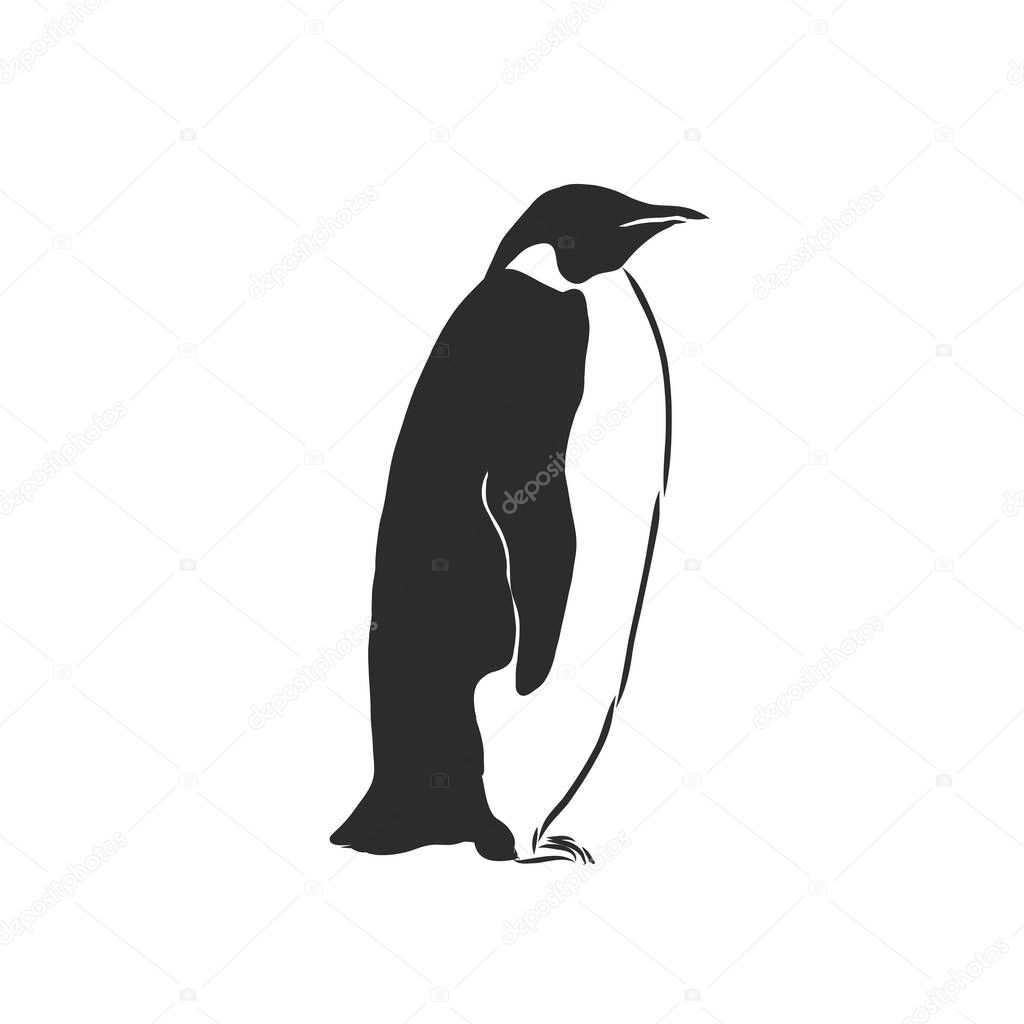 Penguin vector sketch icon isolated on background. Hand drawn Penguin icon. Penguin sketch icon for infographic, website or app.