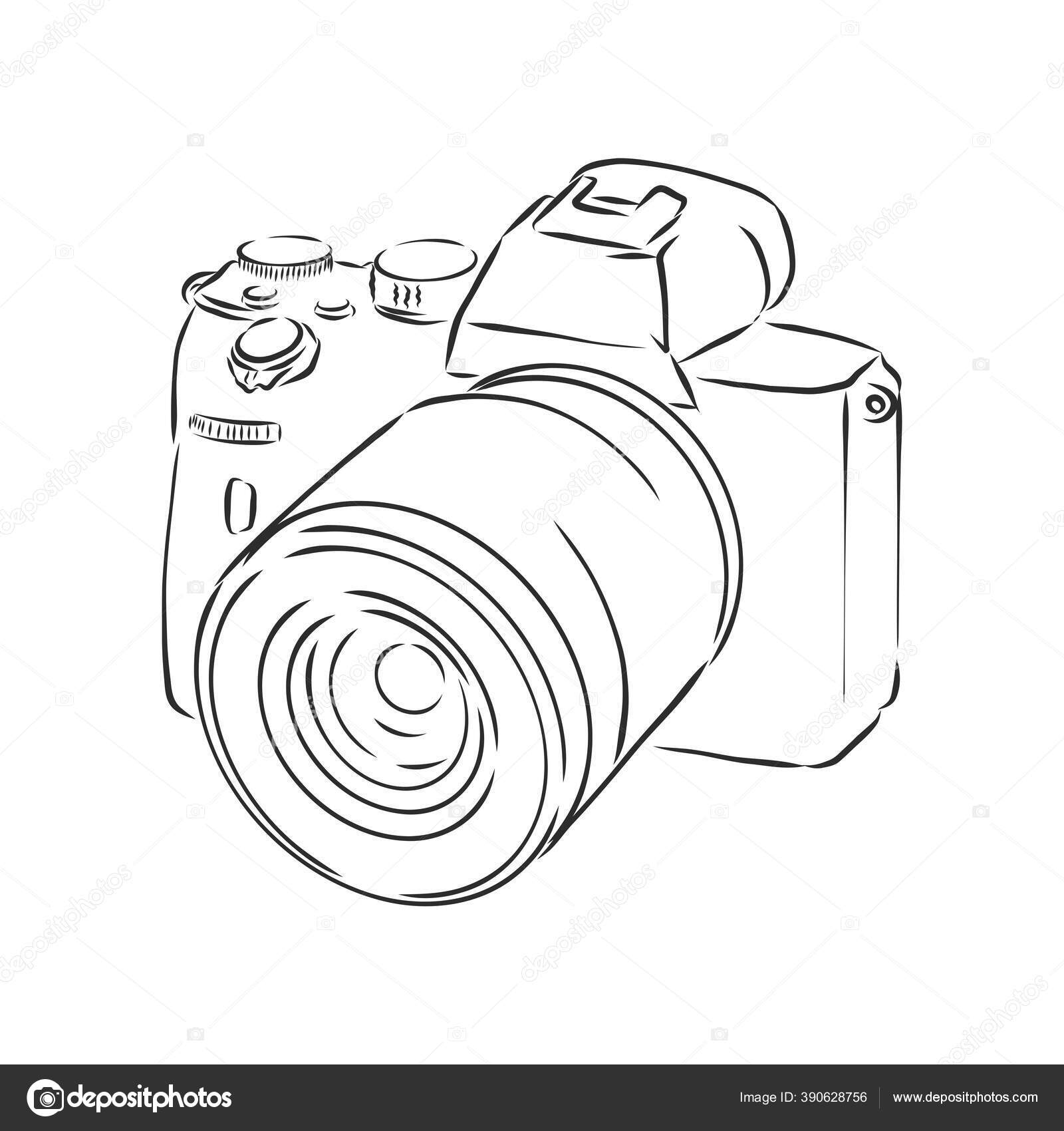 Sketches of my camera collection — Charlene Collins Freeman Art