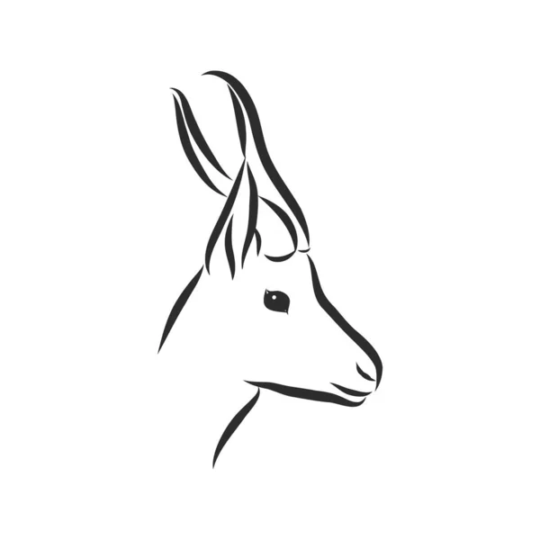 Antelope Sketch Vector Graphics Black White Drawing Antelope Animal Vector Royalty Free Stock Vectors