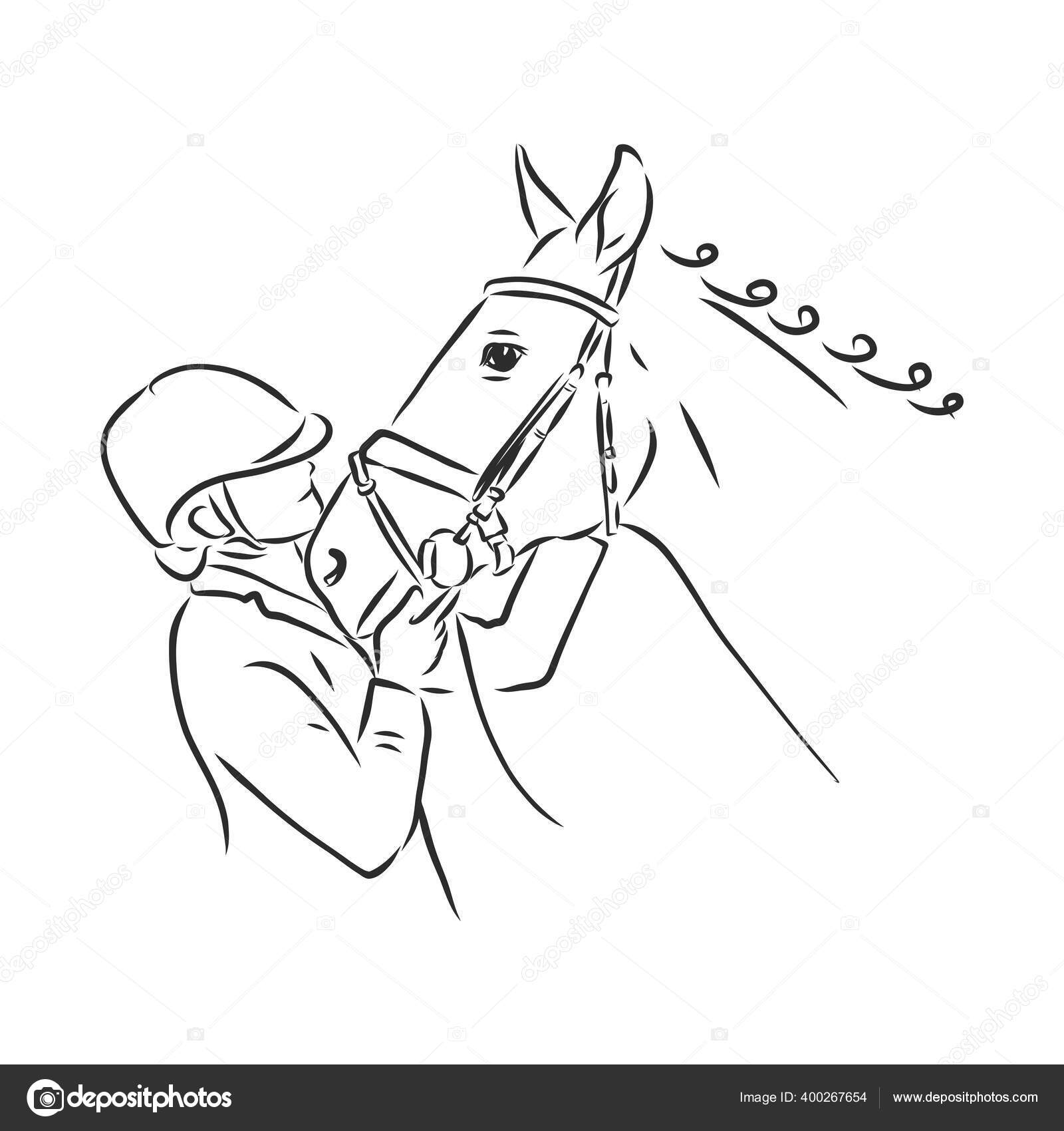 Vector of a horse head on white background. Wild Animal