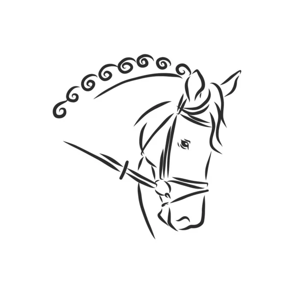 Imagem vetorial de um projeto de cabeça de cavalo no fundo branco, logotipo do cavalo. Animais Selvagens. Ilustração vetorial. Ícone —  Vetores de Stock