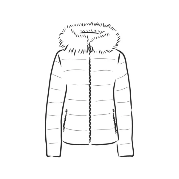 Giacca Vector Sketch Parka Abbigliamento Invernale — Vettoriale Stock