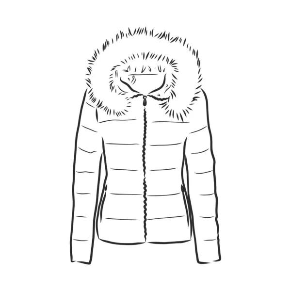 Vektör Taslak Parka Ceketi Kış Kıyafeti — Stok Vektör