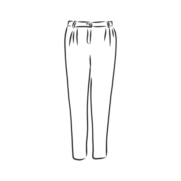 Technical Sketch Trousers Classic Trousers Vector Sketch Vector Graphics
