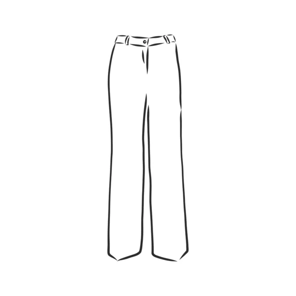 Technical Sketch Trousers Classic Trousers Vector Sketch Stock Vector