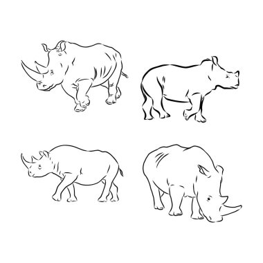 Gergedan siluet çizimleri - üç vektör kümesi