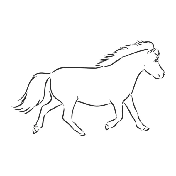 Vettore Mano Disegno Pony Colore Nero Isolato Sfondo Bianco — Vettoriale Stock