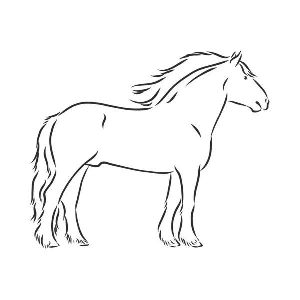 Ręcznie Rysowana Sylwetka Pędzącego Ciężkiego Uprzężonego Białego Konia Białym Tle — Wektor stockowy