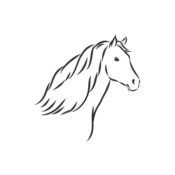 Illustration Vectorielle Cheval Contour Noir Blanc Beau Cheval Icône Cheval — Image vectorielle