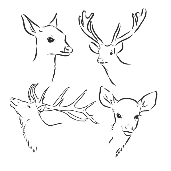 Een Lijn Ontwerp Silhouet Van Deer Hand Getekend Minimalisme Stijl — Stockvector