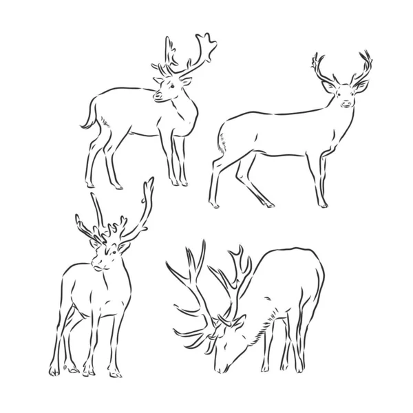 Una Silueta Diseño Línea Deer Hand Dibujado Minimalismo Style Vector — Archivo Imágenes Vectoriales
