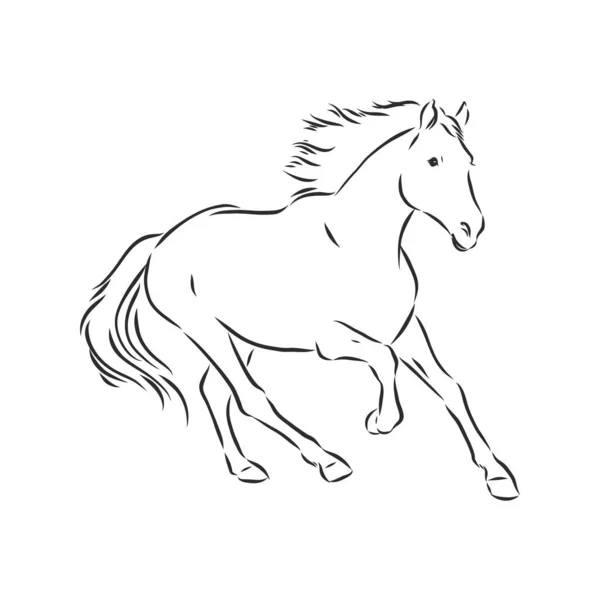 Ilustrasi Vektor Kuda Garis Besar Hitam Dan Putih Kuda Yang - Stok Vektor