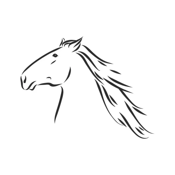 Ilustración Vectorial Caballo Contorno Blanco Negro Hermoso Caballo Icono Caballo — Vector de stock