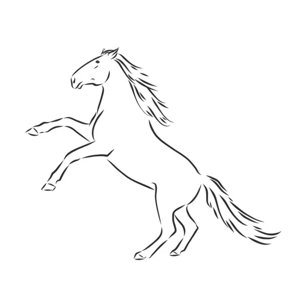Векторная Иллюстрация Лошади Черно Белый Контур Красивая Лошадь Икона Лошади — стоковый вектор