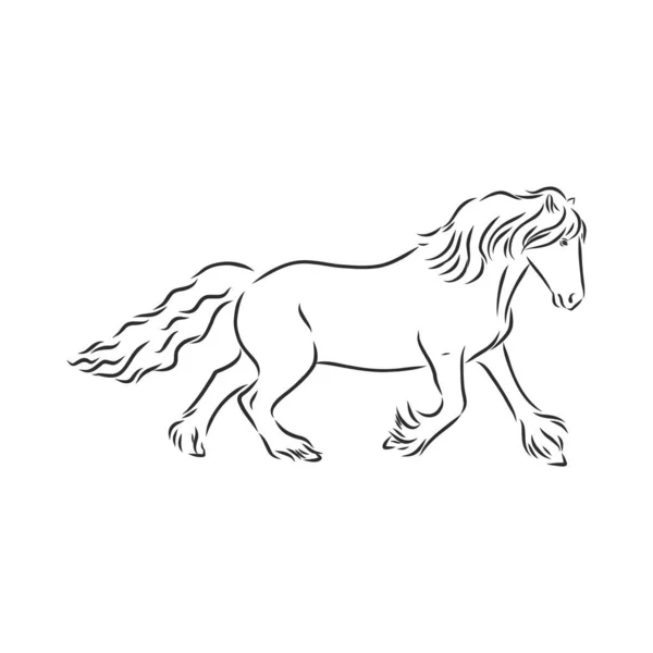 Illustrazione Vettoriale Del Cavallo Contorno Bianco Nero Bellissimo Cavallo Icona — Vettoriale Stock