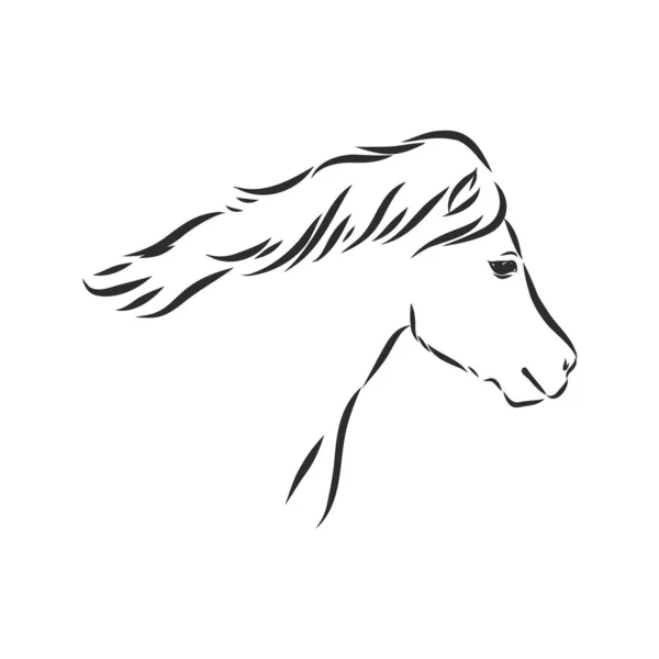 Pony Dibujo Mano Vectorial Color Negro Aislado Sobre Fondo Blanco — Vector de stock
