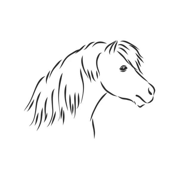 Poney Dessin Vectoriel Main Couleur Noire Isolé Sur Fond Blanc — Image vectorielle