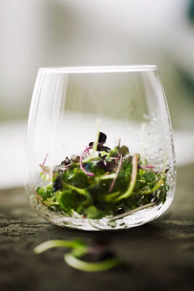 Mixed organic micro greens sprouts in glass with water drops on dark background.Young Fresh Water Cress and red kale sprouts. Healthy food lifestyle diet concept