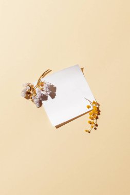 Tasarımcı ruh hali için boş beyaz kağıt ve kurumuş çiçekler. Hafıza ilham kavramı.