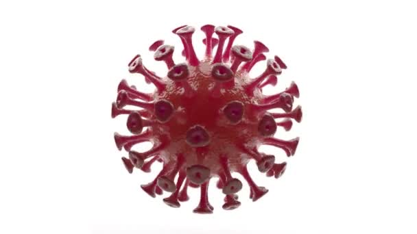 Animación 3D realista de Coronavirus 2019-nCoV Wuhan. SARS-CoV-2 conocido como 2019-nCoV, COVID-19. Patógeno u otra célula peligrosa, rojo. Microvirus aislado sobre fondo blanco — Vídeo de stock