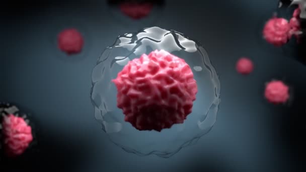 Mikroskopisk modell av coronavirus SARS-CoV-2 röd, i cytoplasma hos infekterade stamceller. Orsakar farlig infektionssjukdom COVID-19. Känd som 2019-nCoV. Anfall av immunsystemet. 3d — Stockvideo