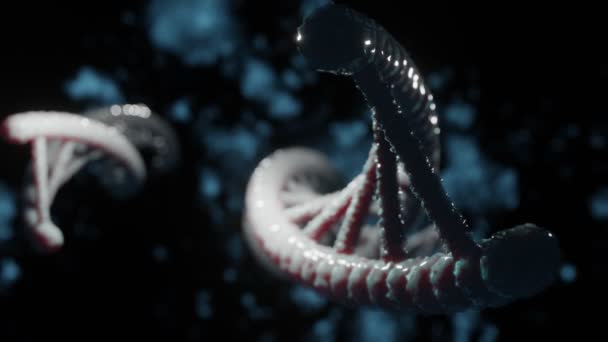 Siyah ve mavi arkaplanda DNA molekül şeklinin mikroskobik yakın çekim modeli. Biyoteknoloji, kimya, bilim, tıp ve yapay zeka için. Dönen DNA Strand. 3d — Stok video