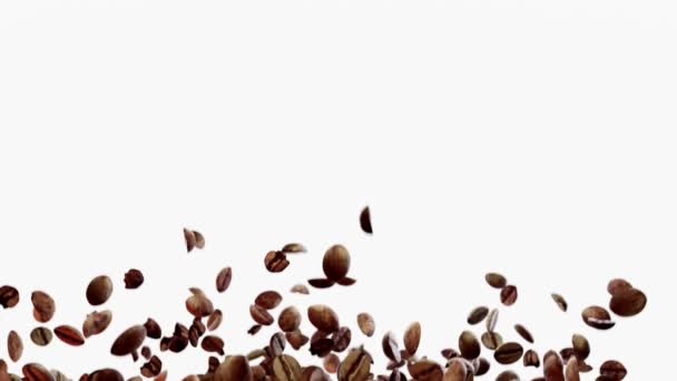 Chicchi di caffè realistici su uno sfondo bianco isolato. Fagioli robusta tostati scuri che volano, salgono e cadono. Deliziosa arabica e caffè aromatico, una bevanda tonificante mattutina. rendering 3d — Video Stock