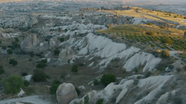 Pintoresco paisaje de Capadocia. Parque Nacional en el valle de Turquía. Panorama de viñedos al atardecer, montañas en forma de cono, parte de la zona está cubierta de hierba, en garganta crecen pinos y abetos. — Vídeos de Stock