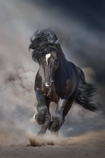 Black Stallion Run Desert Dust Dramatic Background — Stock Photo, Image
