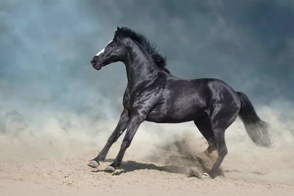 Häst Springa Galopp Öknen Damm Mot Dramatisk Mörk Himmel — Stockfoto
