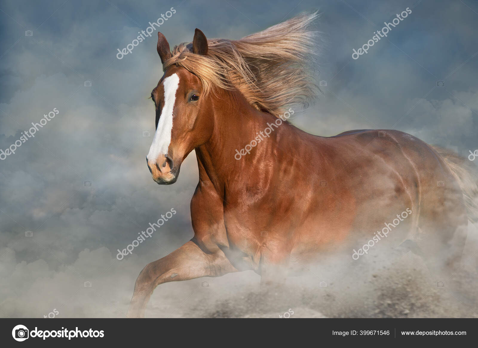 Caballos Con Larga Crin Retrato Galope Polvo Del Desierto — Foto de stock  #399671546 © callipso_art, image size:1600x1166