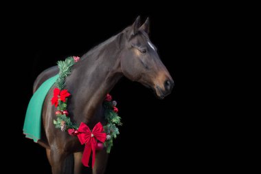 Siyah arka planda Noel süslemesinde Bay Horse