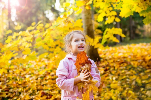 Cute little girl with missing teeth playing with yellow fallen leaves in autumn forest. Happy child laughing and smiling. Sunny autumn forest, sun beam.