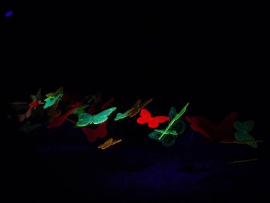 Peki ya bu Eva Jiricna 'nın Prag' daki Sinyal Festivali 'nde söylediği doğruysa?