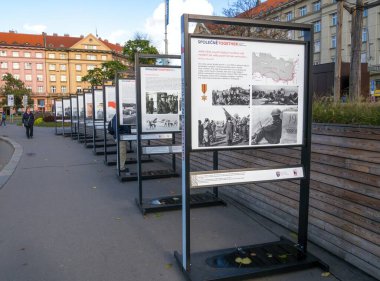 Birlikte Sergi - Çekoslovaklar ve İngilizler Savunmada