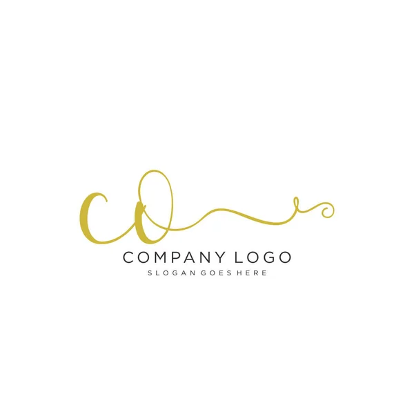 Initiële Handschrift Logo Ontwerp Prachtig Designhandgeschreven Logo Voor Mode Team — Stockvector
