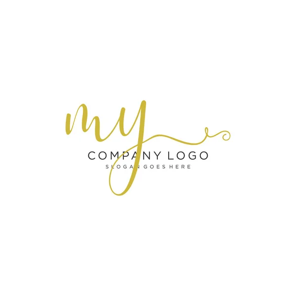 Diseño Inicial Del Logotipo Escritura Mano Hermoso Logotipo Escrito Mano — Vector de stock