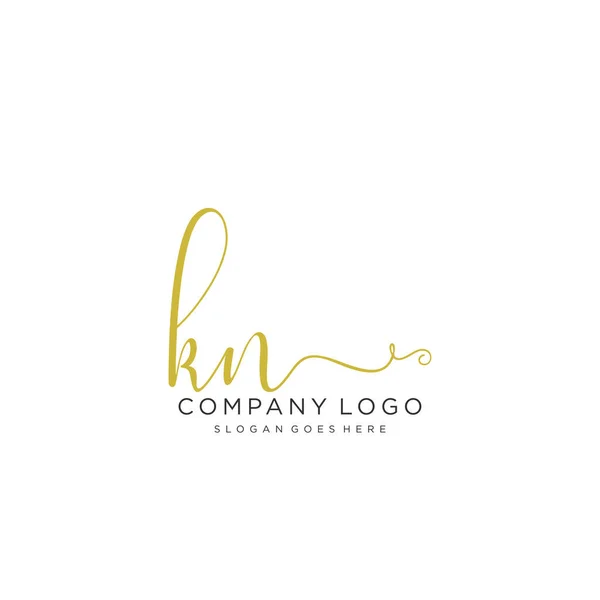 Conception Logo Manuscrite Initiale Logo Manuscrit Design Beautyful Pour Mode — Image vectorielle