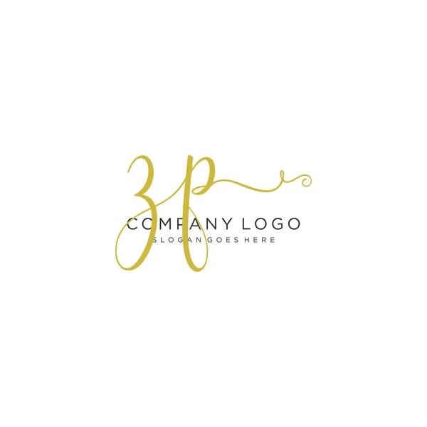 Conception Logo Manuscrite Initiale Logo Manuscrit Design Beautyful Pour Mode — Image vectorielle