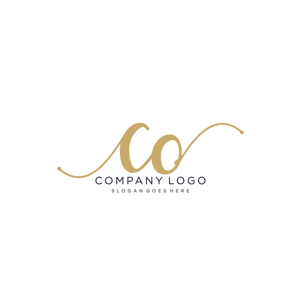 Initial Handwriting Logo Design Beautyful Designhandwritten Logo Fashion Team Wedding — Stock Vector