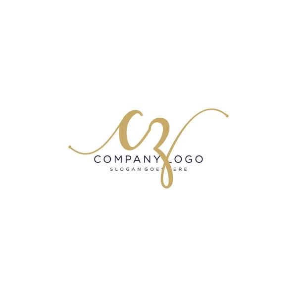 Diseño Inicial Del Logotipo Escritura Mano Hermoso Logotipo Escrito Mano — Vector de stock