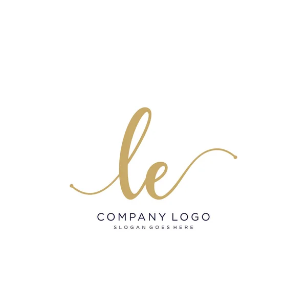 Conception Logo Manuscrite Initiale Logo Manuscrit Design Beautyful Pour Mode — Image vectorielle